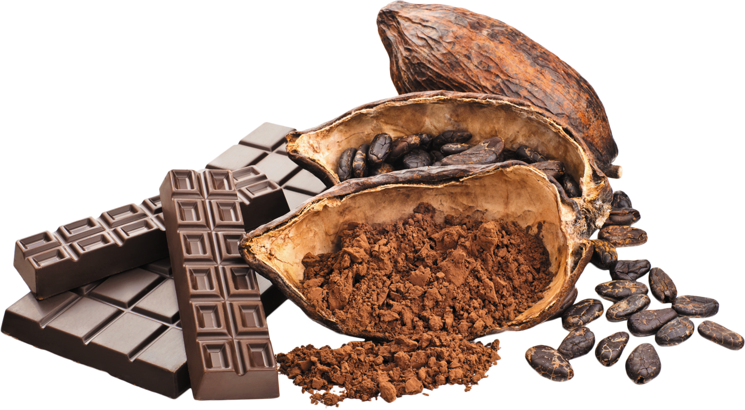 فروش پودر کاکائو هلندی عمده ای در ایران