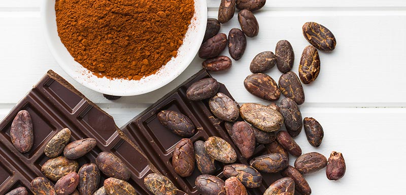 خرید آنلاین بهترین پودر کاکائو