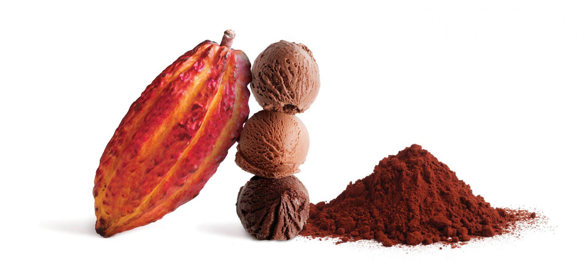 پودر کاکائو برای کارخانه بستنی سازی