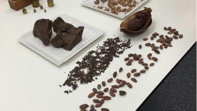 تولیدکنندگان انواع شکلات تخته ای کیلویی
